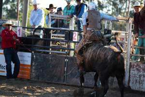 Bucking Bulls Australia Event - Bucking Bulls Australia event, run by Yass Rodeo. Activities such as Bull Riding and Trick Horse Riding occurred during this event. - Captured at Yass Show Society - Rodeo Arena, Yass NSW Australia.