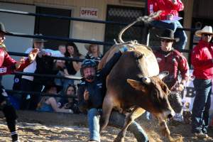 Bucking Bulls Australia Event - Bucking Bulls Australia event, run by Yass Rodeo. Activities such as Bull Riding and Trick Horse Riding occurred during this event. - Captured at Yass Show Society - Rodeo Arena, Yass NSW Australia.
