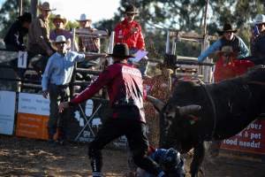 Bucking Bulls Australia Event - Bucking Bulls Australia event, run by Yass Rodeo. Activities such as Bull Riding and Trick Horse Riding occurred during this event. - Captured at Yass Show Society - Rodeo Arena, Yass NSW Australia.