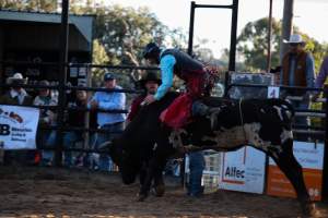 Bucking Bulls Australia Event - Bucking Bulls Australia event, run by Yass Rodeo. Activities such as Bull Riding and Trick Horse Riding occurred during this event. - Captured at Yass Show Society - Rodeo Arena, Yass NSW Australia.