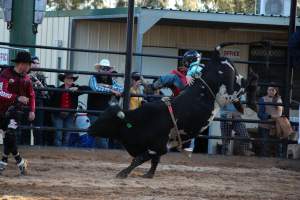 Bucking Bulls Australia Event - Bucking Bulls Australia event, run by Yass Rodeo. Activities such as Bull Riding and Trick Horse Riding occurred during this event. - Captured at Yass Show Society - Rodeo Arena, Yass NSW Australia.