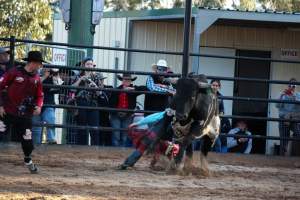 Bucking Bulls Australia Event - Bucking Bulls Australia event, run by Yass Rodeo. Activities such as Bull Riding and Trick Horse Riding occurred during this event. - Captured at Yass Show Society - Rodeo Arena, Yass NSW Australia.