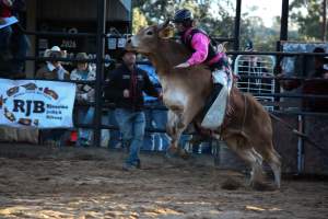 Bucking Bulls Australia Event - Bucking Bulls Australia event, run by Yass Rodeo. Activities such as Bull Riding and Trick Horse Riding occurred during this event. - Captured at Yass Show Society - Rodeo Arena, Yass NSW Australia.