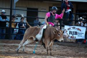 Bucking Bulls Australia Event - Bucking Bulls Australia event, run by Yass Rodeo. Activities such as Bull Riding and Trick Horse Riding occurred during this event. - Captured at Yass Show Society - Rodeo Arena, Yass NSW Australia.