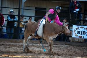 Bucking Bulls Australia Event - Bucking Bulls Australia event, run by Yass Rodeo. Activities such as Bull Riding and Trick Horse Riding occurred during this event. - Captured at Yass Show Society - Rodeo Arena, Yass NSW Australia.
