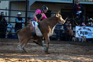 Bucking Bulls Australia Event - Bucking Bulls Australia event, run by Yass Rodeo. Activities such as Bull Riding and Trick Horse Riding occurred during this event. - Captured at Yass Show Society - Rodeo Arena, Yass NSW Australia.