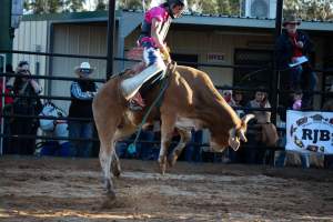 Bucking Bulls Australia Event - Bucking Bulls Australia event, run by Yass Rodeo. Activities such as Bull Riding and Trick Horse Riding occurred during this event. - Captured at Yass Show Society - Rodeo Arena, Yass NSW Australia.