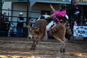 Bucking Bulls Australia Event - Bucking Bulls Australia event, run by Yass Rodeo. Activities such as Bull Riding and Trick Horse Riding occurred during this event. - Captured at Yass Show Society - Rodeo Arena, Yass NSW Australia.