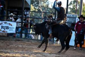 Bucking Bulls Australia Event - Bucking Bulls Australia event, run by Yass Rodeo. Activities such as Bull Riding and Trick Horse Riding occurred during this event. - Captured at Yass Show Society - Rodeo Arena, Yass NSW Australia.