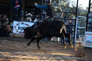 Bucking Bulls Australia Event - Bucking Bulls Australia event, run by Yass Rodeo. Activities such as Bull Riding and Trick Horse Riding occurred during this event. - Captured at Yass Show Society - Rodeo Arena, Yass NSW Australia.