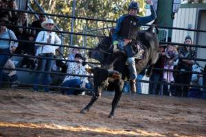 Bucking Bulls Australia Event - Bucking Bulls Australia event, run by Yass Rodeo. Activities such as Bull Riding and Trick Horse Riding occurred during this event. - Captured at Yass Show Society - Rodeo Arena, Yass NSW Australia.