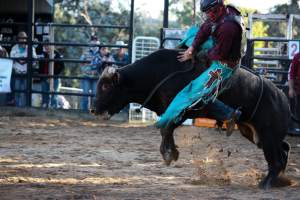 Bucking Bulls Australia Event - Bucking Bulls Australia event, run by Yass Rodeo. Activities such as Bull Riding and Trick Horse Riding occurred during this event. - Captured at Yass Show Society - Rodeo Arena, Yass NSW Australia.
