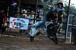 Bucking Bulls Australia Event - Bucking Bulls Australia event, run by Yass Rodeo. Activities such as Bull Riding and Trick Horse Riding occurred during this event. - Captured at Yass Show Society - Rodeo Arena, Yass NSW Australia.