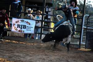 Bucking Bulls Australia Event - Bucking Bulls Australia event, run by Yass Rodeo. Activities such as Bull Riding and Trick Horse Riding occurred during this event. - Captured at Yass Show Society - Rodeo Arena, Yass NSW Australia.