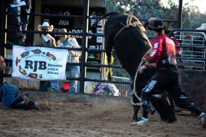 Bucking Bulls Australia Event - Bucking Bulls Australia event, run by Yass Rodeo. Activities such as Bull Riding and Trick Horse Riding occurred during this event. - Captured at Yass Show Society - Rodeo Arena, Yass NSW Australia.
