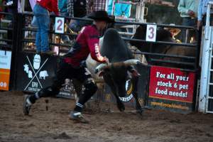 Bucking Bulls Australia Event - Bucking Bulls Australia event, run by Yass Rodeo. Activities such as Bull Riding and Trick Horse Riding occurred during this event. - Captured at Yass Show Society - Rodeo Arena, Yass NSW Australia.