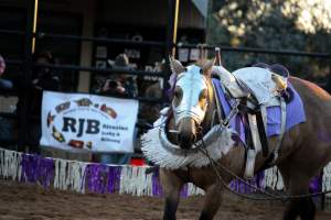 Bucking Bulls Australia Event - Bucking Bulls Australia event, run by Yass Rodeo. Activities such as Bull Riding and Trick Horse Riding occurred during this event. - Captured at Yass Show Society - Rodeo Arena, Yass NSW Australia.