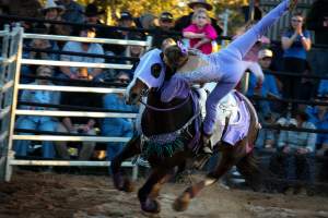 Bucking Bulls Australia Event - Bucking Bulls Australia event, run by Yass Rodeo. Activities such as Bull Riding and Trick Horse Riding occurred during this event. - Captured at Yass Show Society - Rodeo Arena, Yass NSW Australia.