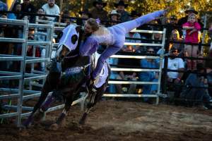 Bucking Bulls Australia Event - Bucking Bulls Australia event, run by Yass Rodeo. Activities such as Bull Riding and Trick Horse Riding occurred during this event. - Captured at Yass Show Society - Rodeo Arena, Yass NSW Australia.