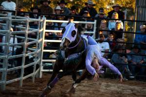 Bucking Bulls Australia Event - Bucking Bulls Australia event, run by Yass Rodeo. Activities such as Bull Riding and Trick Horse Riding occurred during this event. - Captured at Yass Show Society - Rodeo Arena, Yass NSW Australia.