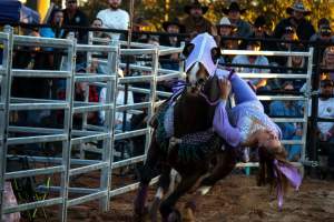 Bucking Bulls Australia Event - Bucking Bulls Australia event, run by Yass Rodeo. Activities such as Bull Riding and Trick Horse Riding occurred during this event. - Captured at Yass Show Society - Rodeo Arena, Yass NSW Australia.