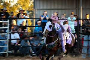 Bucking Bulls Australia Event - Bucking Bulls Australia event, run by Yass Rodeo. Activities such as Bull Riding and Trick Horse Riding occurred during this event. - Captured at Yass Show Society - Rodeo Arena, Yass NSW Australia.
