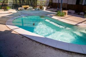 Penguin pool - Captured at Darling Downs Zoo, Pilton QLD Australia.