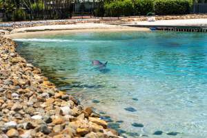Dolphin enclosures at Sea World - Captured at Sea World, Main Beach QLD Australia.