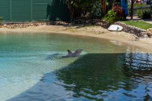 Dolphin enclosures at Sea World - Captured at Sea World, Main Beach QLD Australia.