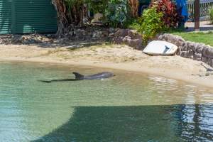 Dolphin enclosures at Sea World - Captured at Sea World, Main Beach QLD Australia.