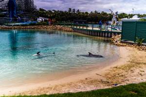 Dolphin enclosures at Sea World - Captured at Sea World, Main Beach QLD Australia.