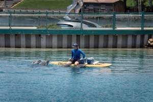 Dolphin enclosures at Sea World - Captured at Sea World, Main Beach QLD Australia.