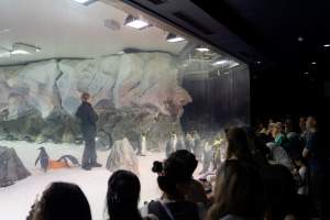 Spectators look on at penguin enclosure at Sea World - Captured at Sea World, Main Beach QLD Australia.