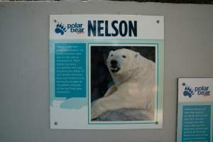 Captured at Sea World, Main Beach QLD Australia.