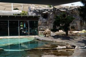 Captured at Sea World, Main Beach QLD Australia.