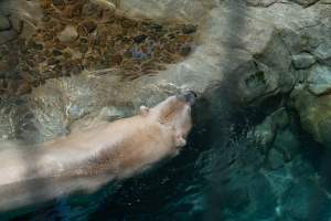 Captured at Sea World, Main Beach QLD Australia.
