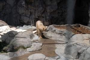 Captured at Sea World, Main Beach QLD Australia.
