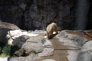 Captured at Sea World, Main Beach QLD Australia.