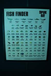 Captured at Sea World, Main Beach QLD Australia.