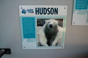 Captured at Sea World, Main Beach QLD Australia.