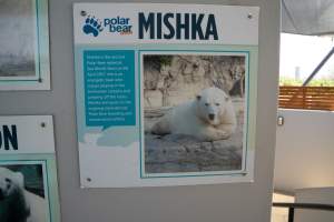 Captured at Sea World, Main Beach QLD Australia.