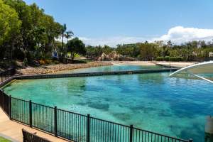 Captured at Sea World, Main Beach QLD Australia.