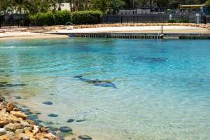 Captured at Sea World, Main Beach QLD Australia.