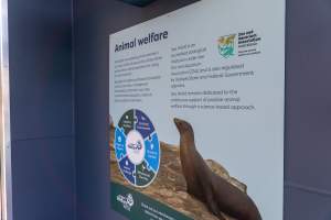 Captured at Sea World, Main Beach QLD Australia.