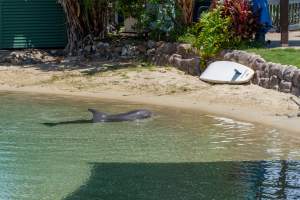 Captured at Sea World, Main Beach QLD Australia.