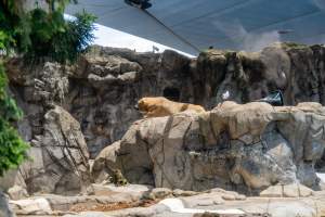Captured at Sea World, Main Beach QLD Australia.