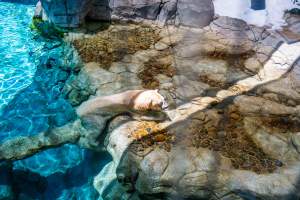 Captured at Sea World, Main Beach QLD Australia.