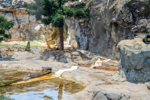 Captured at Sea World, Main Beach QLD Australia.