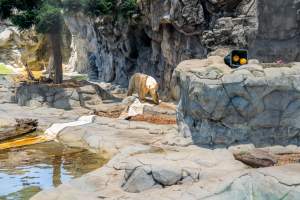 Captured at Sea World, Main Beach QLD Australia.