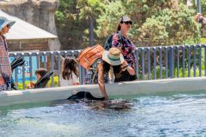 Captured at Sea World, Main Beach QLD Australia.